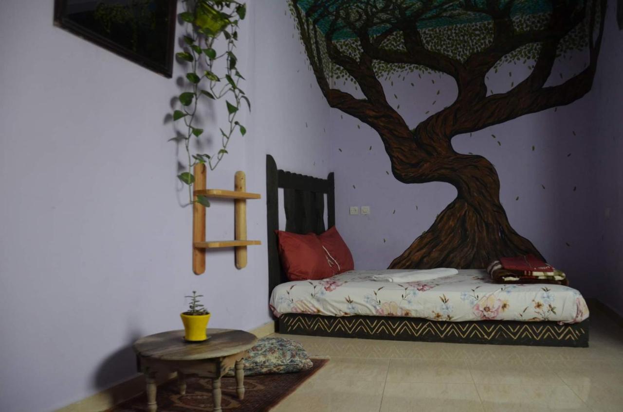 Tayought Surf Hostel Тагазут Номер фото